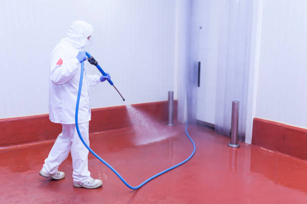 Best Sidewalk and Walkway Cleaning  in Payson, IL