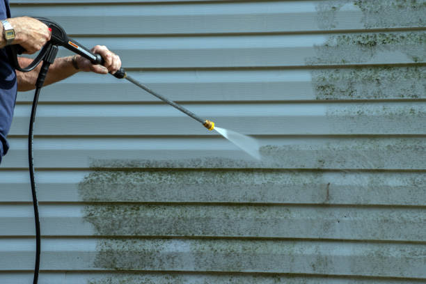 Best Dumpster Area Cleaning  in Payson, IL