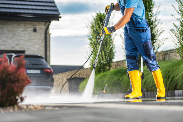 Best Roof Washing  in Payson, IL